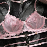 Elegant Sheer Lace Bra & Panty Set