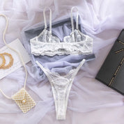 Elegant Sheer Lace Bra & Panty Set