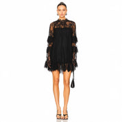 Douni Sheer Lace High-Neck Mini Dress